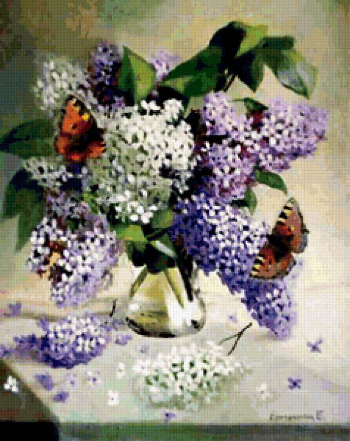 Бабочки с сиренью - букет, бабочки, натюрморт, сирень, цветы - предпросмотр