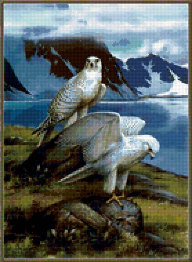 орлы - горы, картина, лето, орел, природа, красота, птицы - предпросмотр