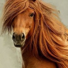 Схема вышивки «№420455»