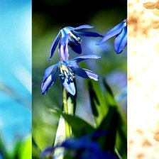 Схема вышивки «№420573»