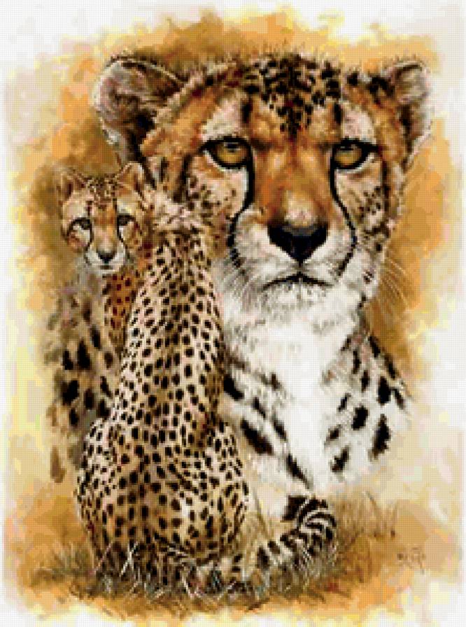 Гепард - животные, дикие кошки - предпросмотр