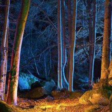 Схема вышивки «ночь в лесу»