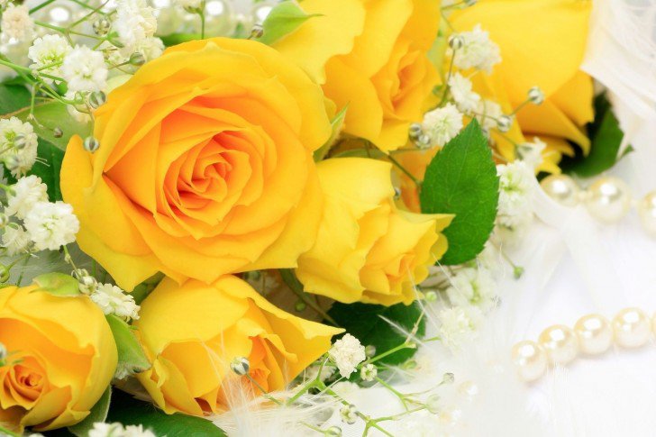 букет жёлтых роз - розы, цветы - оригинал