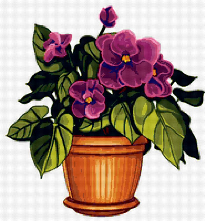 фиалка - фиалки, цветок, вазон, цветы - предпросмотр