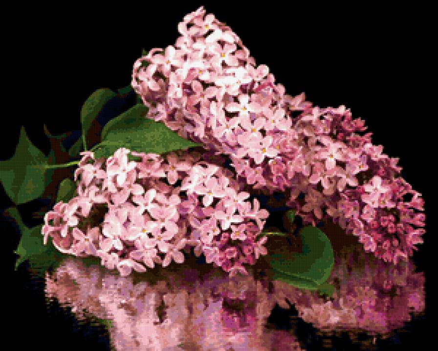 Из цикла Сирень - предпросмотр