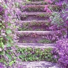 цветочная лестница