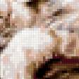 Предпросмотр схемы вышивки «у разбитого окошка» (№421358)