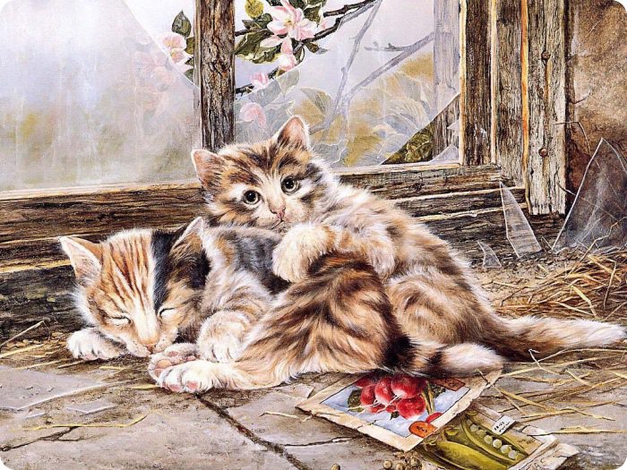 у разбитого окошка - кошки, животные, котята - оригинал