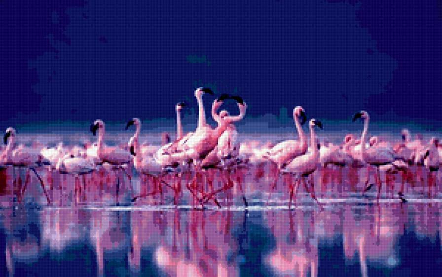розовые фламинго - предпросмотр
