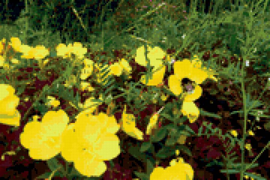 Цветы - шмель, весна, цветы - предпросмотр