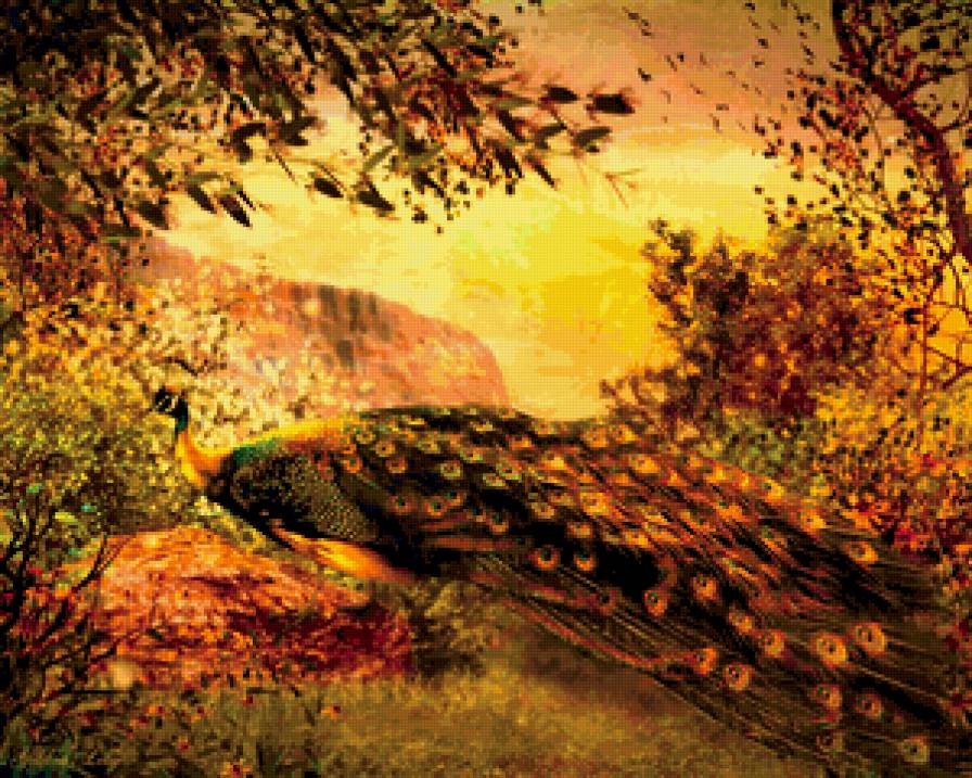 Золотой павлин - павлин, птица - предпросмотр