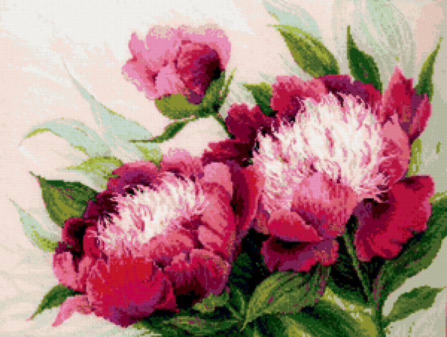 тюльпанчики - предпросмотр