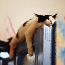 Схема вышивки «Кошка спит»