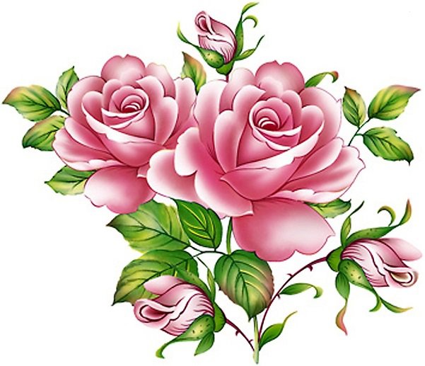 прекрасная роза - розовые цветы, букет, розы, роза, красные цветы - оригинал