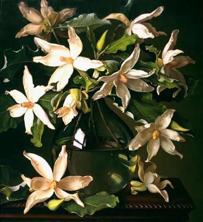 магнолия - цветы, живопись, evan wilson - оригинал