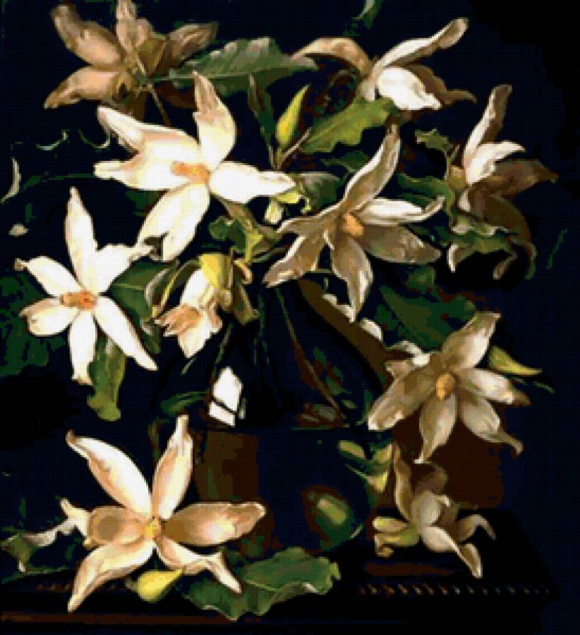 магнолия - живопись, цветы, evan wilson - предпросмотр