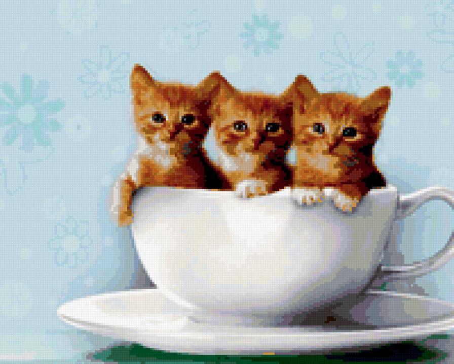 Котята в кофейной чашке - животные - предпросмотр