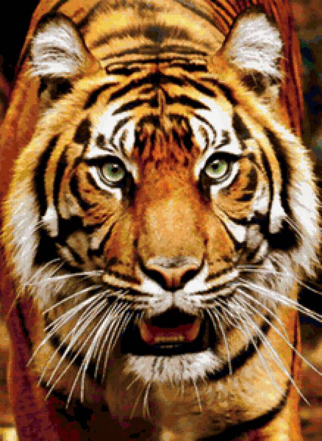 тигрик - предпросмотр