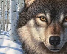 Схема вышивки «№422372»