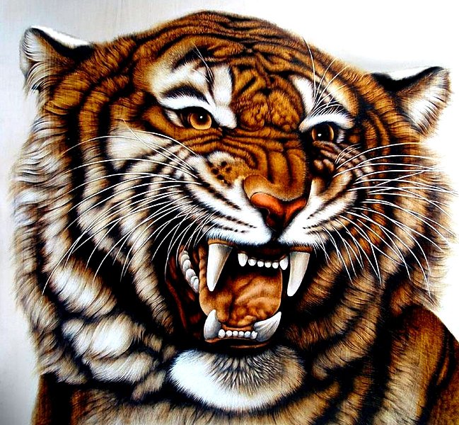 Хищный красавец - тигры, животные - оригинал