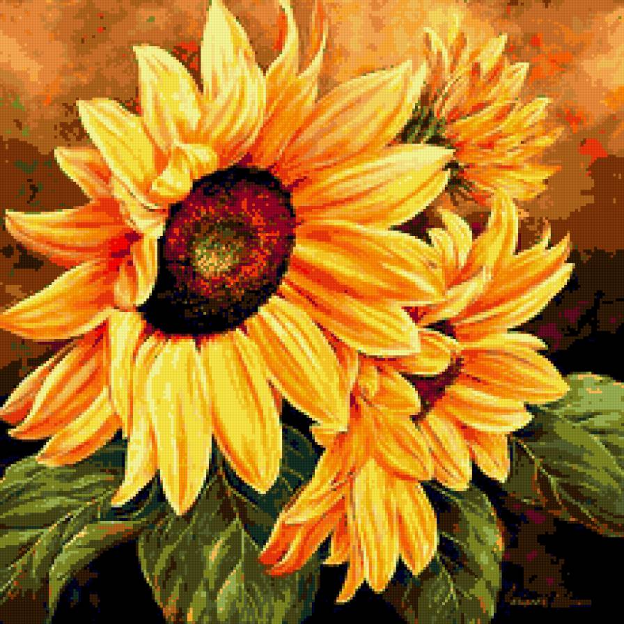 Подсолнухи - подсолнухи, цветы - предпросмотр