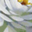 Предпросмотр схемы вышивки «Букет из белых роз» (№422733)