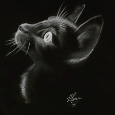 Оригинал схемы вышивки «Черная кошка» (№422817)