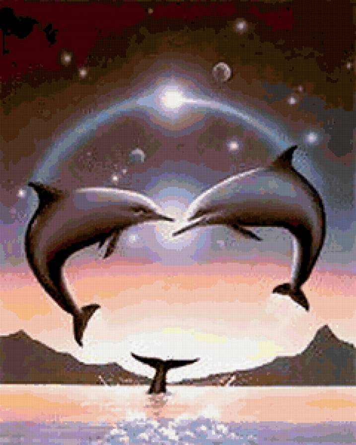 дельфины - ночь, рыбы, дельфины, море, природа - предпросмотр