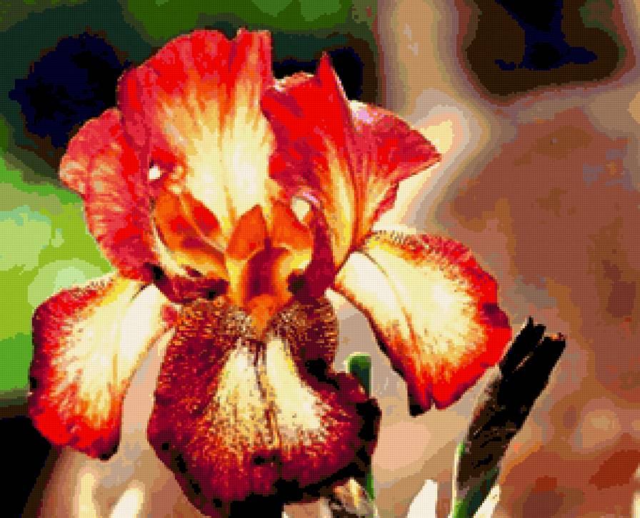 серия "ирисы" - цветы.ирисы - предпросмотр