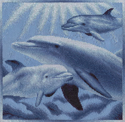 три дельфина - дельфины, море - оригинал