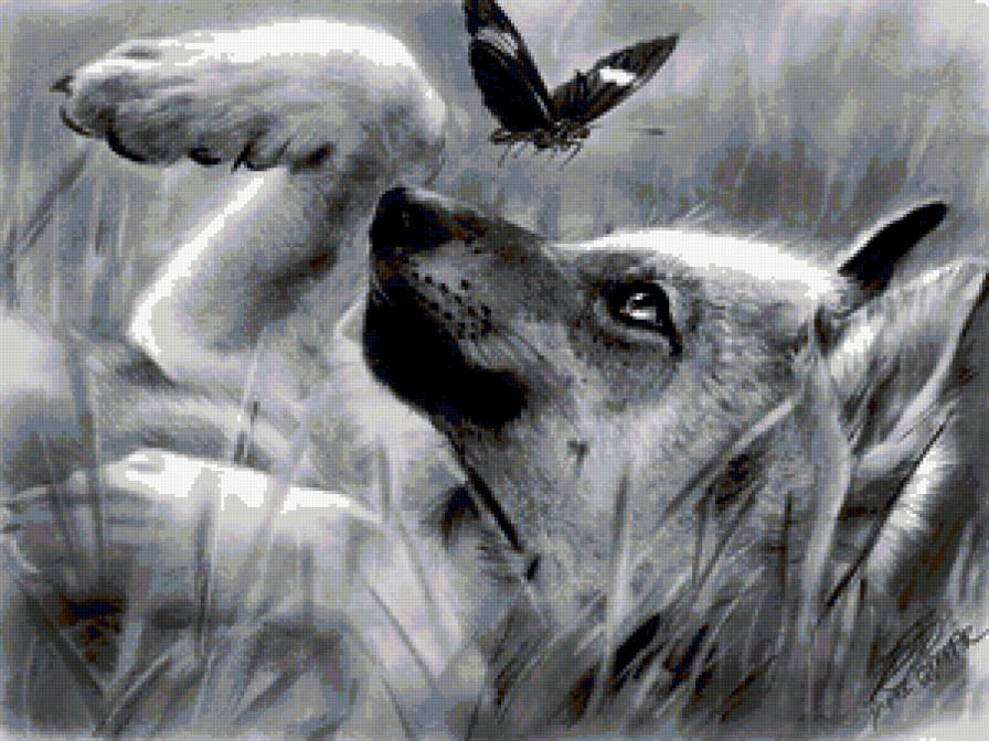 Львенок - предпросмотр