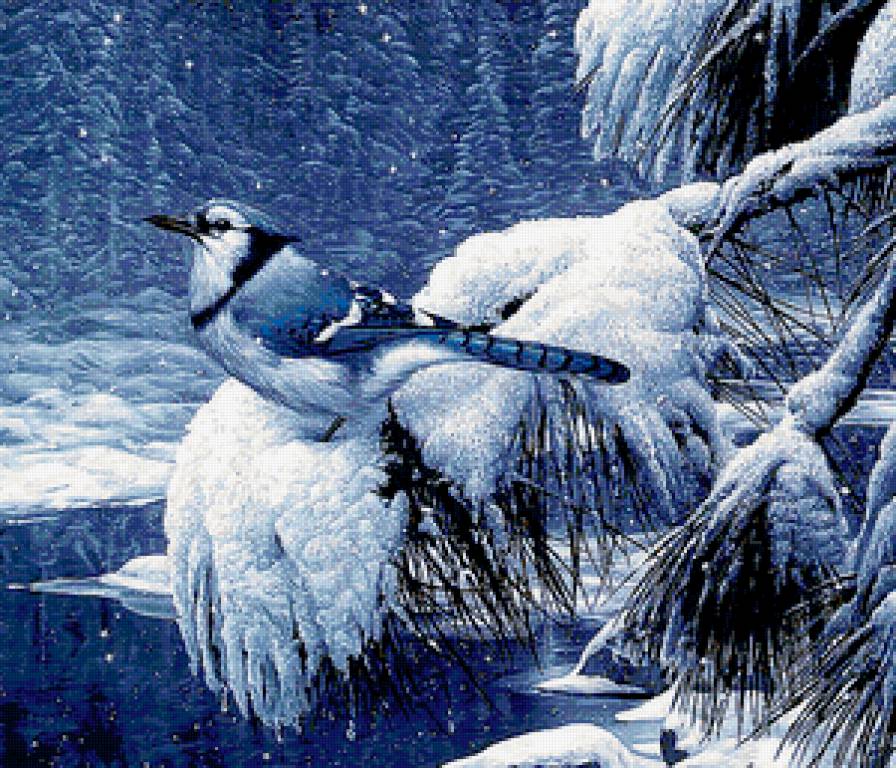 Синяя птица - птицы - предпросмотр