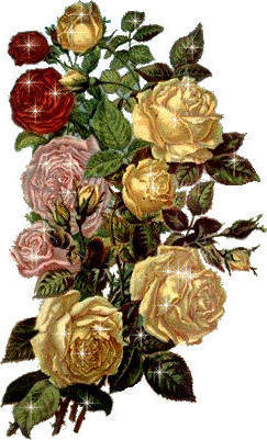 розы - оригинал