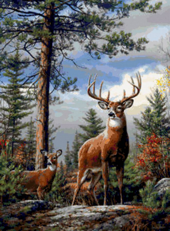 №423535 - предпросмотр