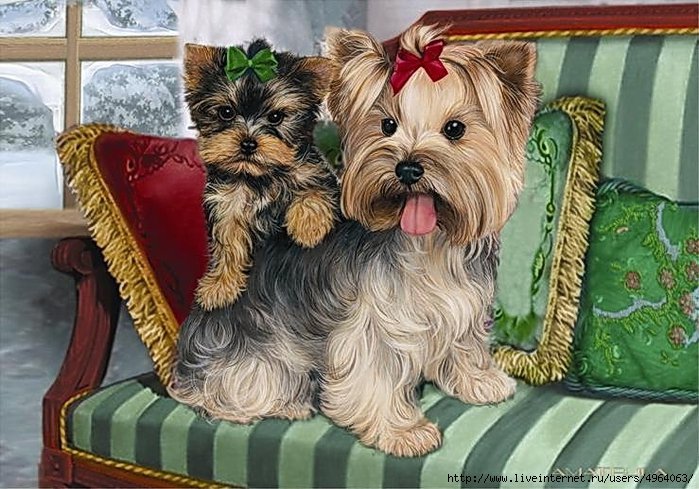 картина - животные - оригинал