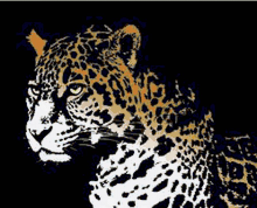 леопард на черном - коты, на черном, животные, дикие кошки - предпросмотр