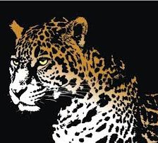 леопард на черном