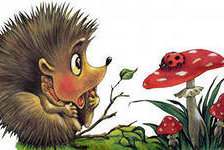 Схема вышивки «Їжачок»