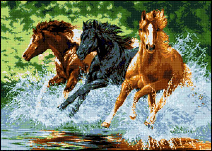№423979 - вода, животные, лошади - предпросмотр