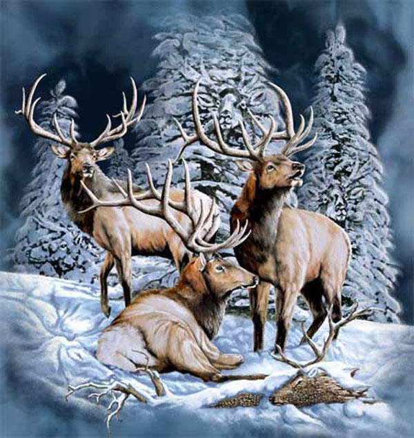 олени - животные, олени, лес, природа, зима - оригинал
