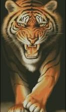 Оригинал схемы вышивки «тигр» (№424197)