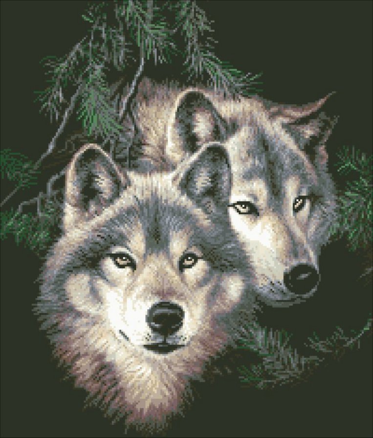 волки - животные, пара, волки - оригинал