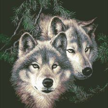 Оригинал схемы вышивки «волки» (№424222)