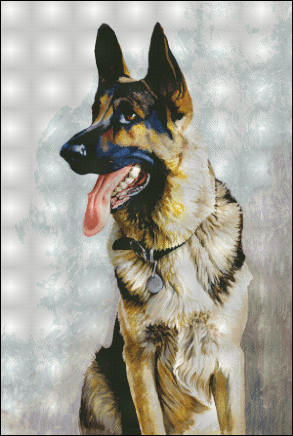 овчарка - собаки - оригинал