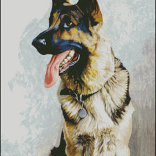 Схема вышивки «овчарка»