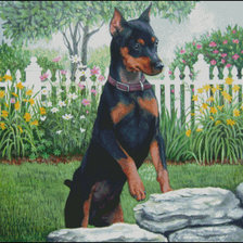 Схема вышивки «карликовый пинчер»