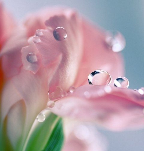 №424474 - оригинал