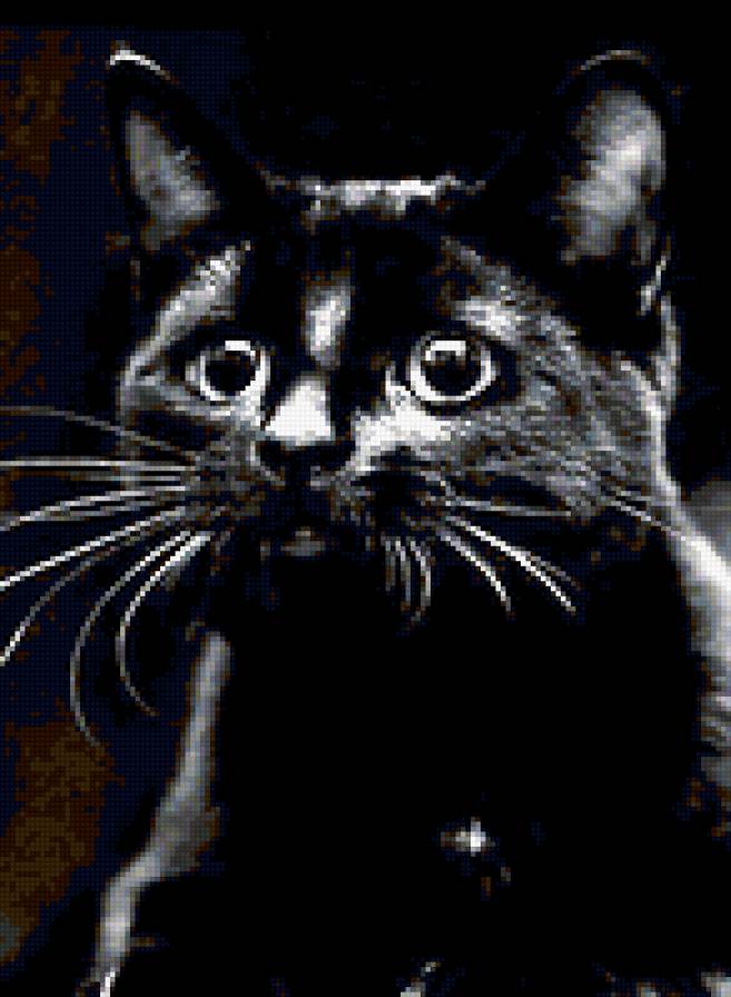 №424477 - предпросмотр