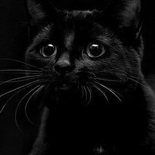 Схема вышивки «№424477»