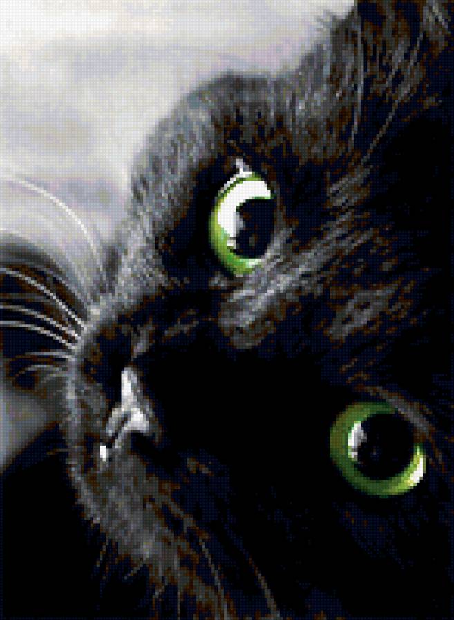 №424482 - предпросмотр